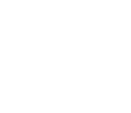 Torch Talent